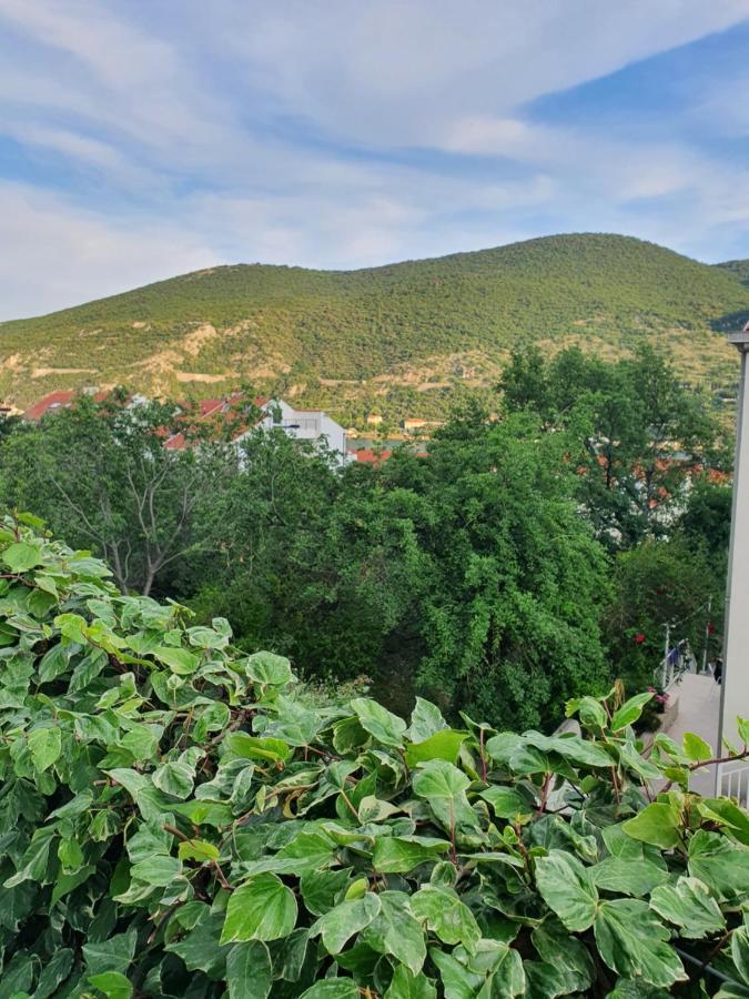 Apartment Rita Mokošica エクステリア 写真
